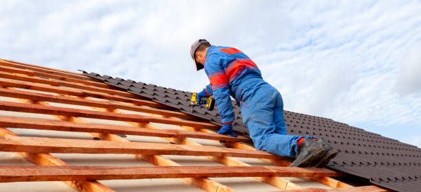 Best Rubber Roofing (EPDM, TPO)  in Talpa, NM