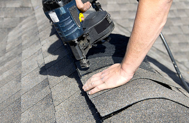 Best Roof Moss and Algae Removal  in Talpa, NM