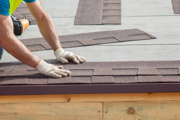 Best Solar Panel Roofing Installation  in Talpa, NM